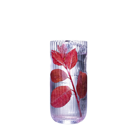 Striped Highball Glasses,Crystal Glass Wine Glasses,Mojito Glass Cups,Collins Bar Glassware, and Mixed Drink Cocktail