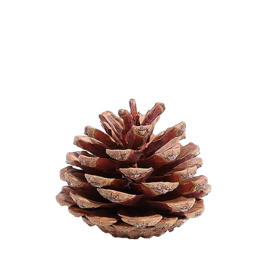 Molecular Cocktail Smoked Special Thick Smoke Pine Cone Cocktail Decoration Dried Pine Cone