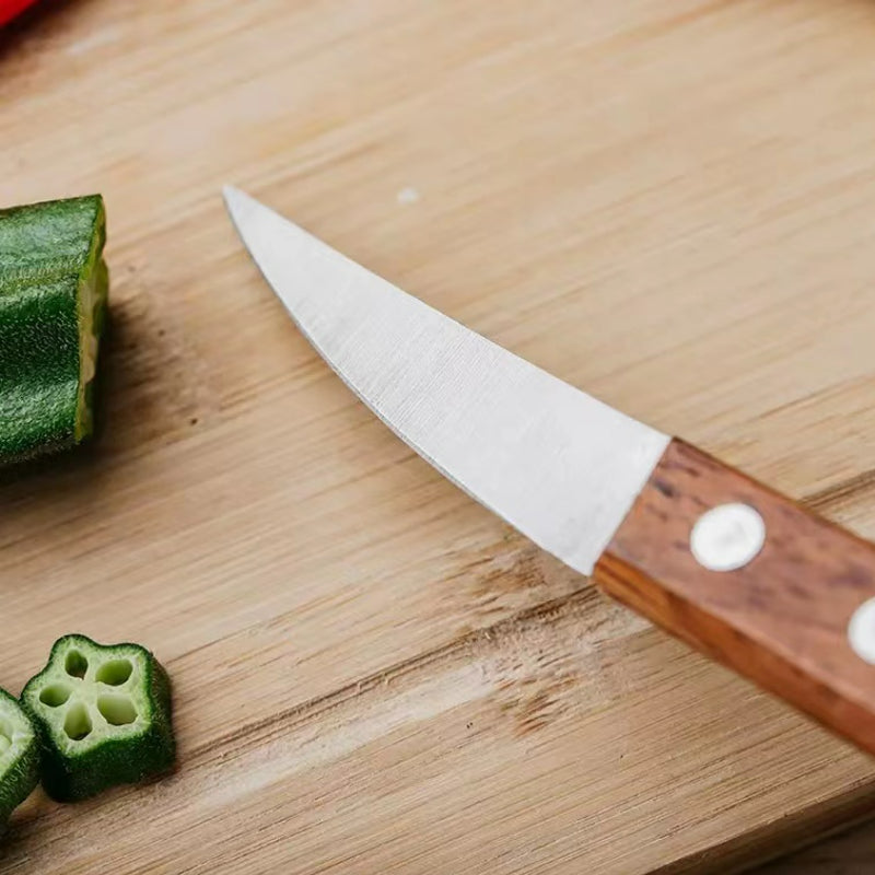 Mini Fruit Caving Tools Carving Knife Kitchen Knife Fruit Knife