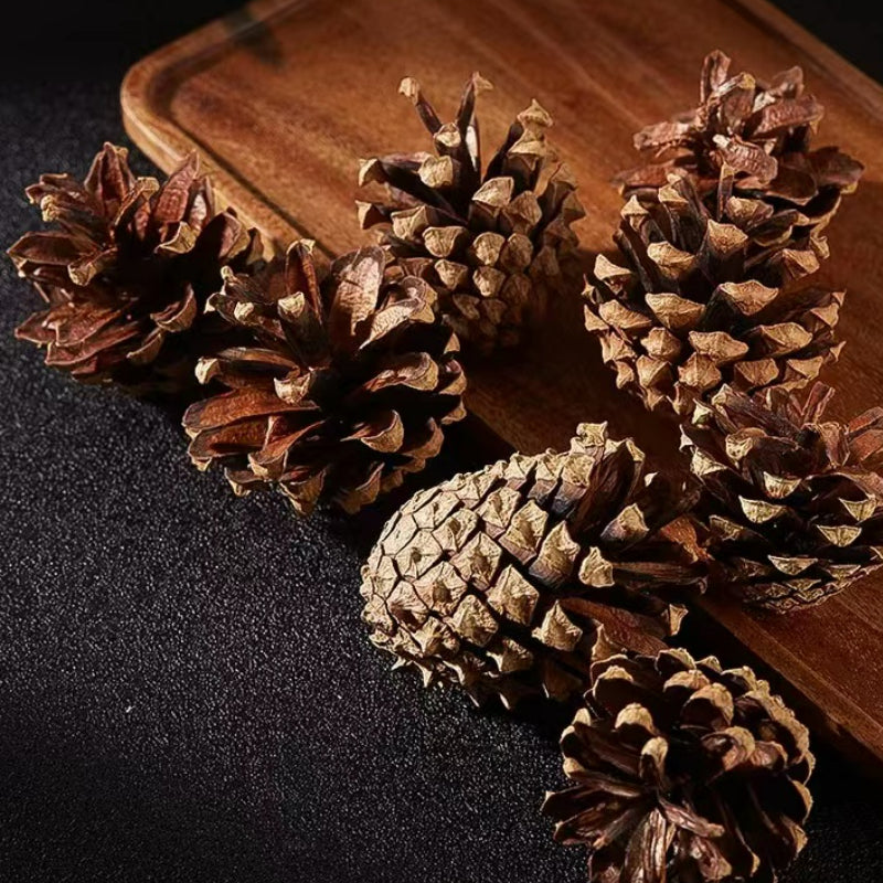 Molecular Cocktail Smoked Special Thick Smoke Pine Cone Cocktail Decoration Dried Pine Cone