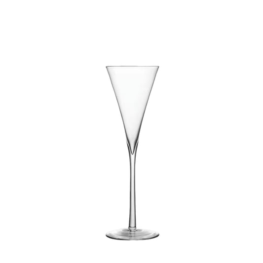 Stylish Toasting Champagne Glasses