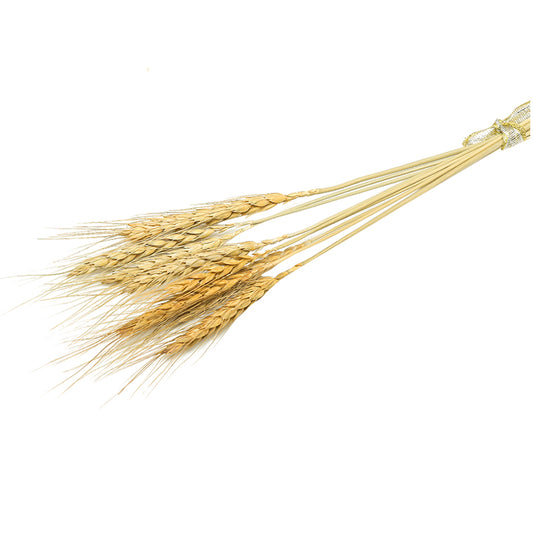 Original Ecological Wheat Ears, Creative Cocktail Decorations, Dried Wheat Straws